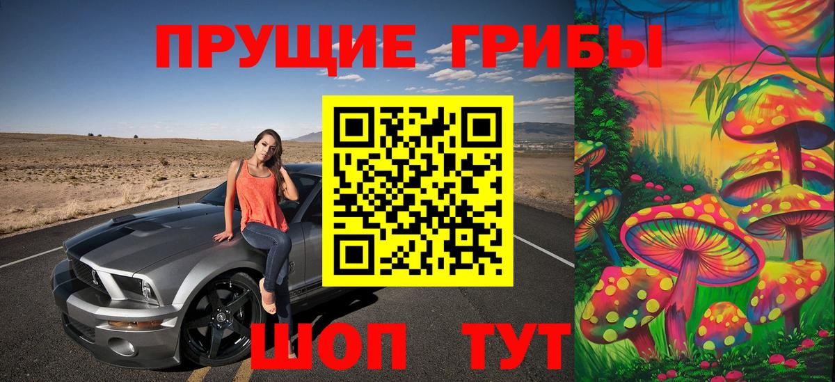 Галлюциногенные грибы прущие грибы Дзержинск